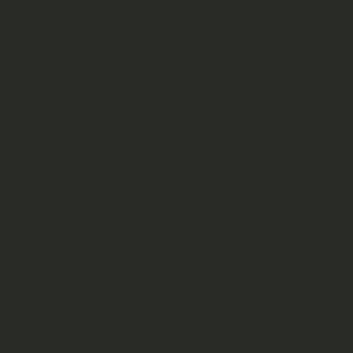 Charcoal Black colour sample