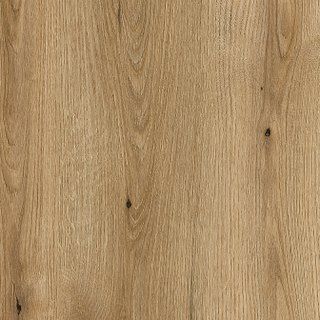 Coast Evoke Oak colour sample