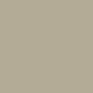 Dakar Matt colour sample