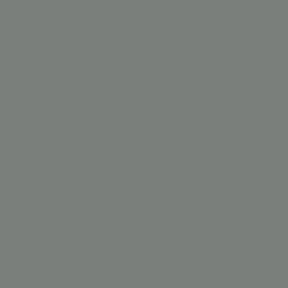 Dust Grey colour sample