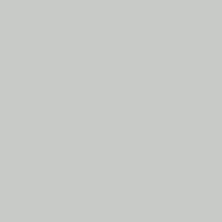 Light Grey Gloss colour sample