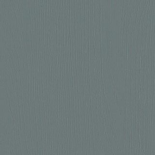 Monument Oak Grained colour sample