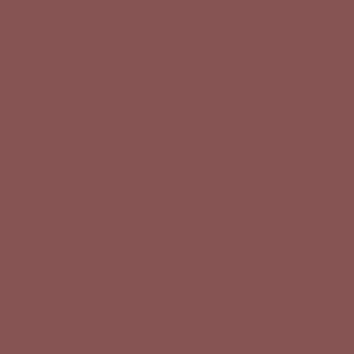 Rusty Red colour sample