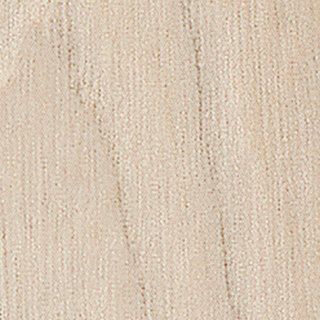 Swiss Elm Light colour sample